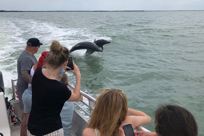 10,000 Islands Boat Excursion - 3.5-Hour Dolphins & Shelling Tour - Quick hits before you go