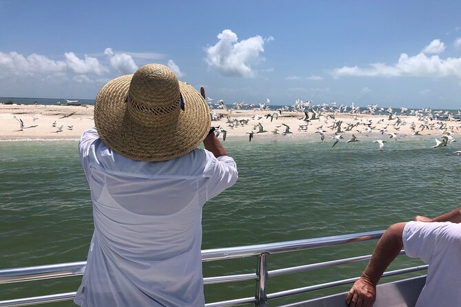 10,000 Islands Boat Excursion - 3.5-Hour Dolphins & Shelling Tour - Wildlife spotting in the Everglades-like waterways