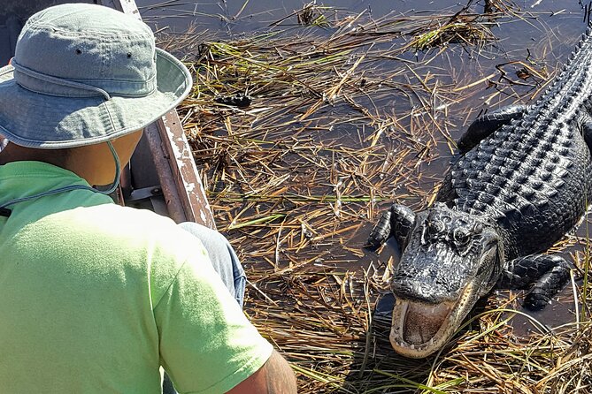 10,000 Islands Boat Tour + Naturalist Led Walk in the Everglades! - Key points before you go