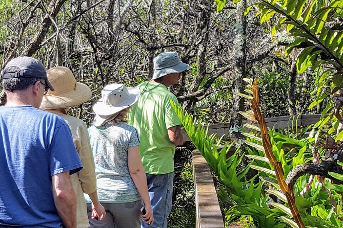 10,000 Islands Boat Tour + Naturalist Led Walk in the Everglades! - Price and value: what $169 buys you in the real Everglades