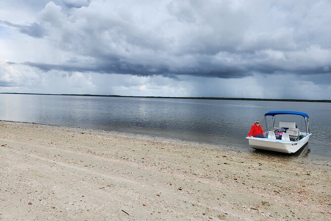 10,000 Islands Boat Tour + Naturalist Led Walk in the Everglades! - Everglades National Park boat time through the 10,000 mangrove islands