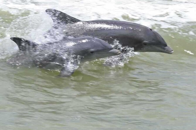 10,000 Islands Boat Tour + Naturalist Led Walk in the Everglades! - Big Cypress National Preserve drive and the Nathaniel Reed Visitor Center