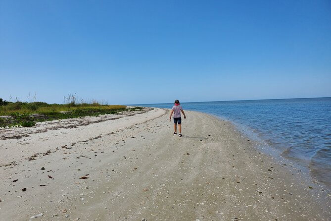 10,000 Islands Boat Tour + Naturalist Led Walk in the Everglades! - Getting to the first stops: pickup timing and how to prep