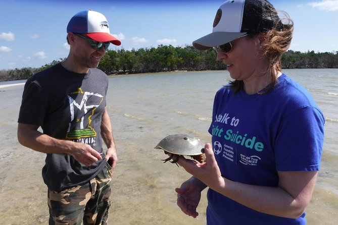 10,000 Islands Excursion Small-Group 3.5 hour Dolphin & Shelling Boat Tour - Shelling tips you’ll actually use (not just handed to you)