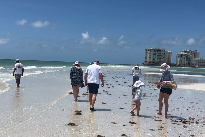 10,000 Islands Excursion Small-Group 3.5 hour Dolphin & Shelling Boat Tour - Stop 1: Dixie County barrier-island shelling, with the Gulf behind you