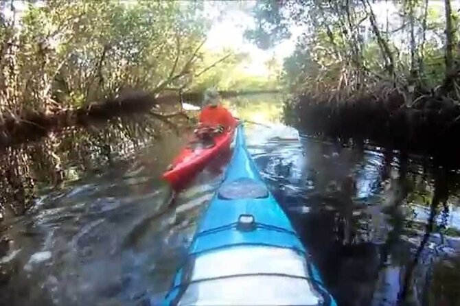 10000 Islands Everglades Boat Tour - Price and Value: Is $62.54 Worth It?