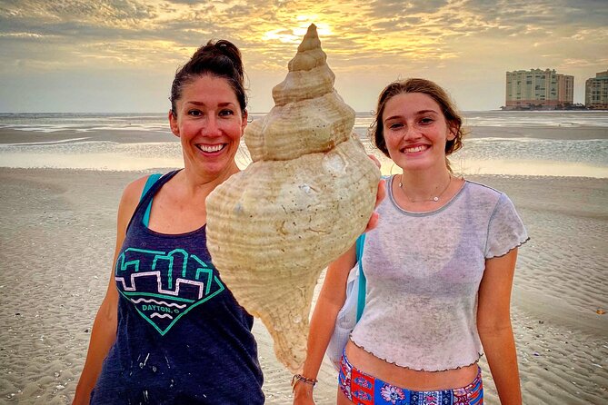 10K Islands Private Shelling Tour - What you actually do while hunting shells in the Ten Thousand Islands