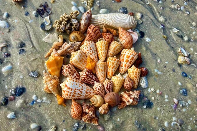 10K Islands Private Shelling Tour - Meet Jason and enjoy the private, small-group pace