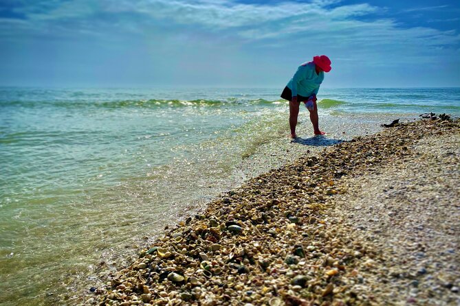 10K Islands Private Shelling Tour - What to bring (and what to skip) for comfortable shelling