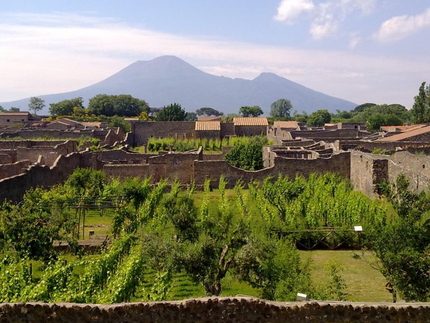 2-Hour Private Walking Tour of Pompeii - Theaters: one visit, three possibilities