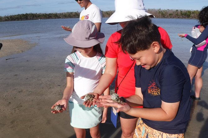 2-hour Shelling Boat Tour in the 10,000 Islands - The 10,000 Islands Shelling Feel: Why This Tour Works