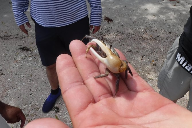 2-hour Shelling Boat Tour in the 10,000 Islands - Price and Value: Is $109.95 a Good Deal?