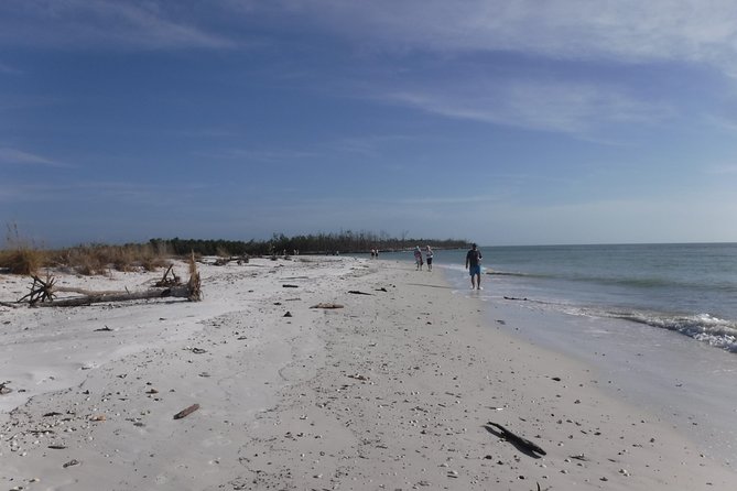 2-hour Shelling Boat Tour in the 10,000 Islands - What You’ll Actually Do During the 10,000 Islands Wildlife Refuge Stop