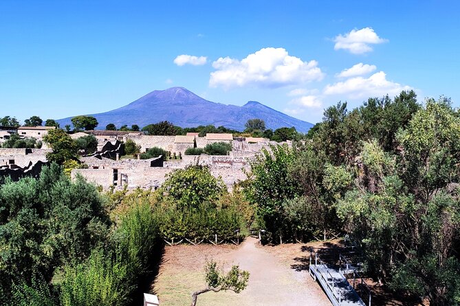 2 Hours Private Tour in Pompeii with Archaeologist - Orto dei Fuggiaschi: where 13 victims were found