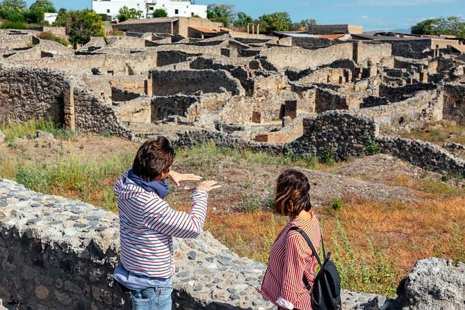 2 Hours Private Walking Tour in Pompeii with an Archaeologist - Price and logistics: what you actually pay for value