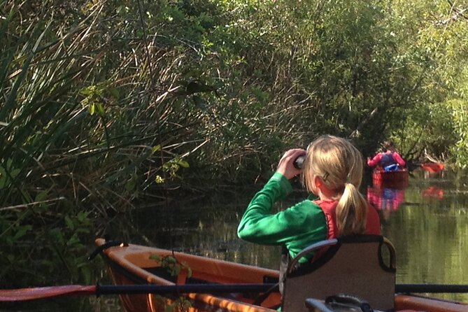 2Hour Everglades Kayak Safari Adventure Through Mangrove Tunnels - Key Highlights You’ll Feel on the Water