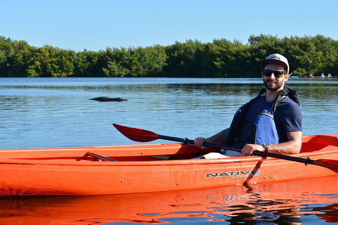 2Hour Everglades Kayak Safari Adventure Through Mangrove Tunnels - The $89 Value: What You Get in Two Hours