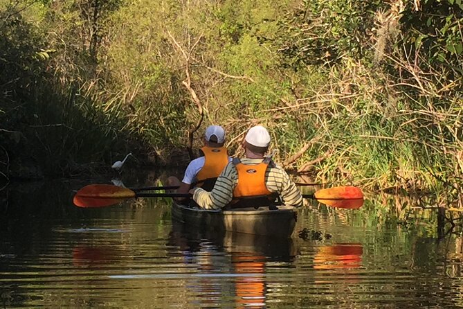 2Hour Everglades Kayak Safari Adventure Through Mangrove Tunnels - What the Kayak Comfort Really Means for You
