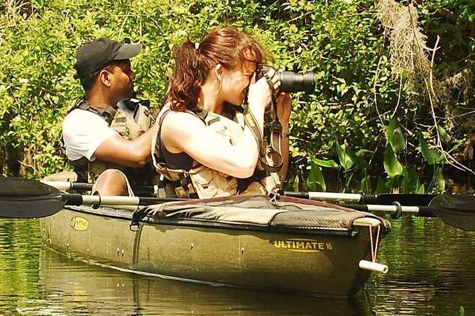 3 Hour Guided Mangrove Tunnel Kayak Eco Tour - Why kayaking under Everglades mangrove tunnels feels different