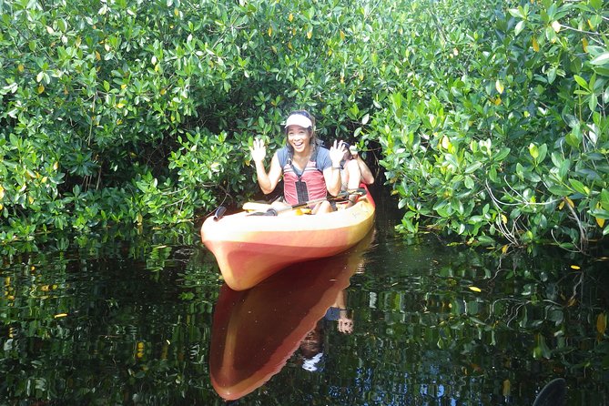 3 Hour Guided Mangrove Tunnel Kayak Eco Tour - What happens before you ever paddle: the briefing that makes it beginner-friendly