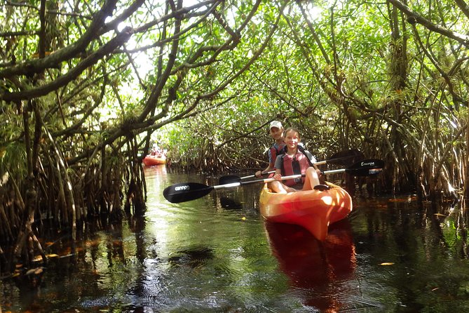 3 Hour Guided Mangrove Tunnel Kayak Eco Tour - Inside the tunnels: pace, photos, and the “listen for life” factor