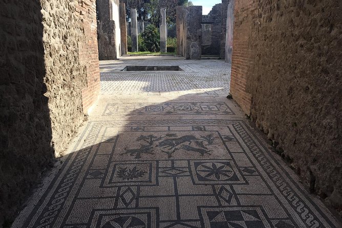 3-Hours Private Walking Tour in Pompeii with an Archaeologist - Pompeii Archaeological Park: public life, private life, and the “how did they live?” story
