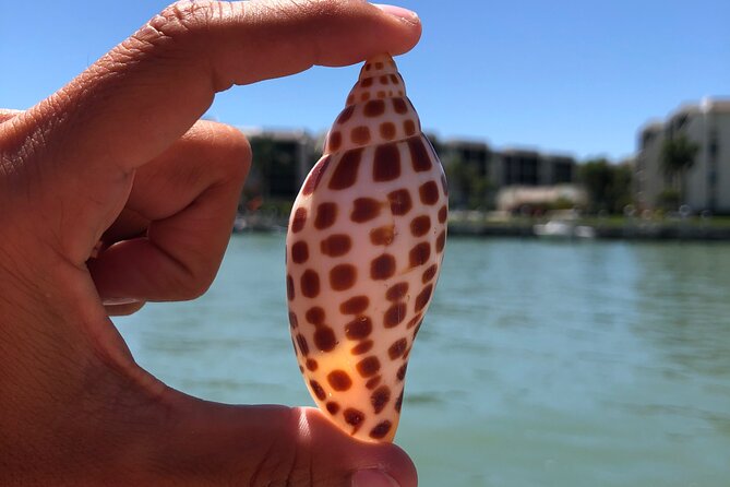 4 Hour Kice Island Shelling Trip - What’s Included vs. What You Bring