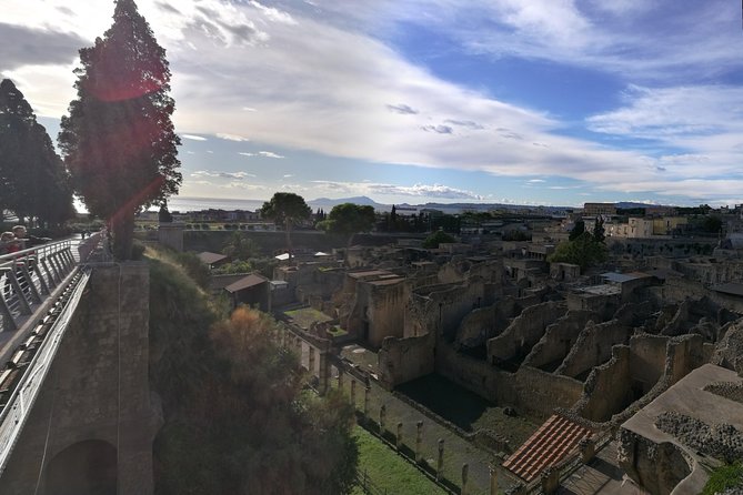 4/hours Half Day Trip Excursion to Herculaneum - Guide included - Private ride from Naples and beyond: the value of doing this one right