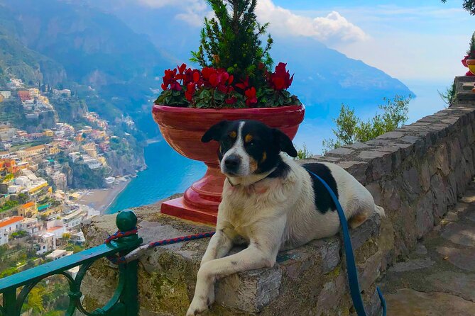 Amalfi Coast from Naples: Relaxing tour between Sorrento and Amalfi! - Small Group, English Guide, and a Mobile Ticket for a Low-Friction Day