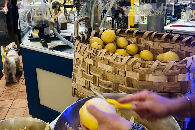 Amalfi Coast from Naples: Relaxing tour between Sorrento and Amalfi! - Limoncello Factory Stop: Lemon Rinds to the Glass