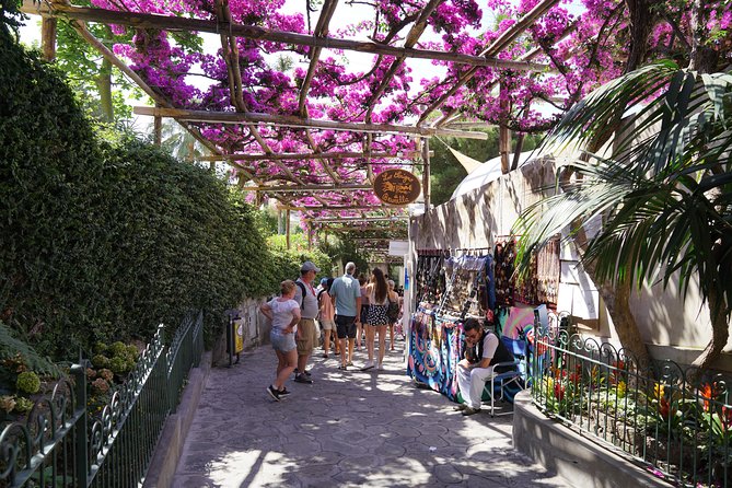 Amalfi Coast Tour: Positano, Amalfi & Ravello from Naples - Guide and driver: the difference between a good day and a great one