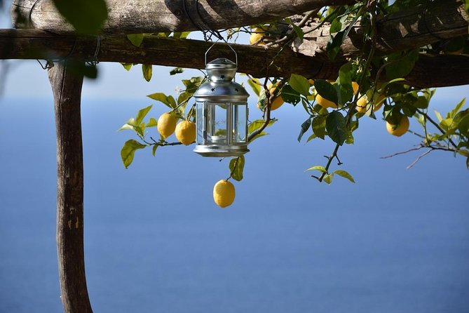 Amalfi Ravello Positano Tour - Why This Naples-to-Coast Plan Feels Different Than a Bus Day