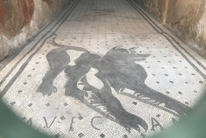 Ancient Pompei in the afternoon - What you’ll see in Pompeii: from the Gymnasium to the Forum