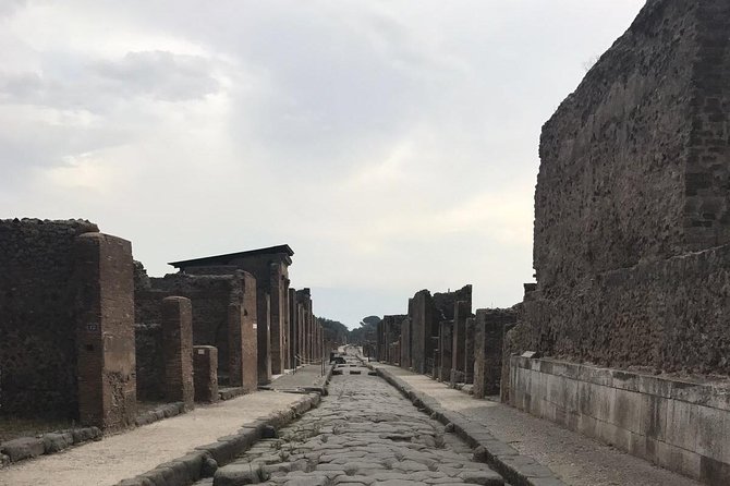 Ancient Pompei in the afternoon - Who this Pompeii afternoon tour is best for