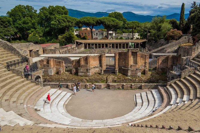 Ancient Pompeii Private Tour: Skip the Line & Kid-Friendly Option - Skip-the-line Pompeii in 2 hours: what you gain