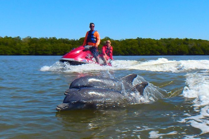 Avi's Premium Dolphin Tour by Jet Ski - Key Things to Know Before You Go