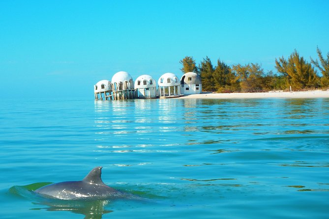 Avi's Premium Dolphin Tour by Jet Ski - The 10,000 Islands Mangrove Run: Where the Scenery Meets Real Water Travel
