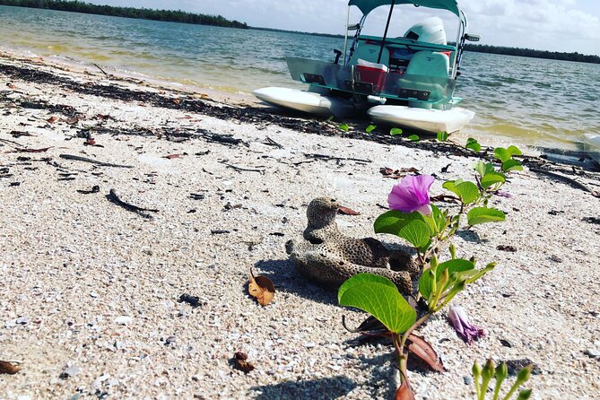 Backwater Adventure's CraigCat Tours of the 10,000 Islands - Price and Value: What $135 Buys in Goodland