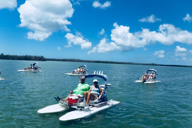 Backwater Adventure's CraigCat Tours of the 10,000 Islands - Wildlife Spotting Around the Refuge: Dolphins, Birds, and Mangrove Photo Ops