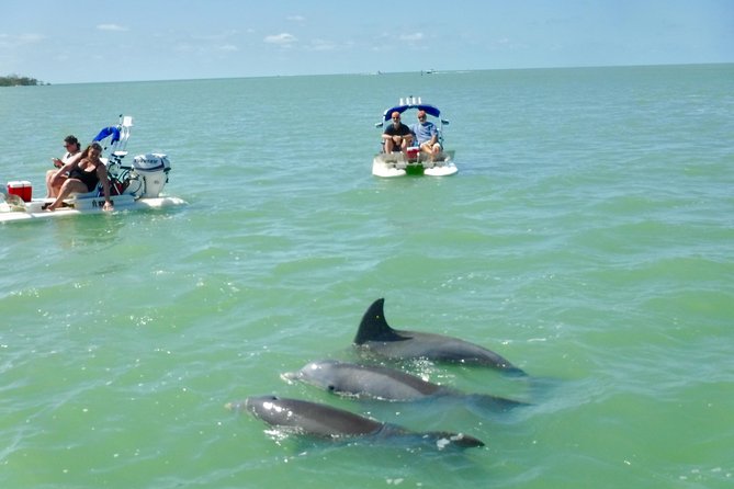 Backwater Adventure's CraigCat Tours of the 10,000 Islands - Stops, Shelling Breaks, and Why the Short Island Time Counts