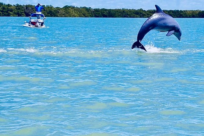 Backwater Adventure's CraigCat Tours of the 10,000 Islands - The Guides Make It: Safety, Speed Control, and Real Navigation