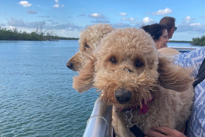 Bark on the Ark - The Naples Bay Pontoon Ride: Comfort Plus Time on the Water