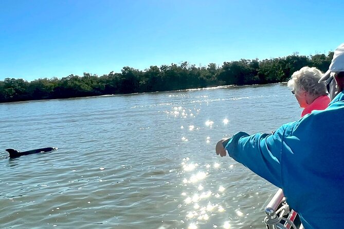 Best of Marco Island Dolphin Tour - Price and what you’re really paying for