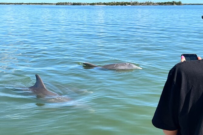 Best of Marco Island Dolphin Tour - Marco Island sightseeing and the Dome House payoff