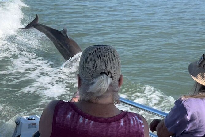 Best of Marco Island Dolphin Tour - What to bring: food, drinks, and the onboard reality