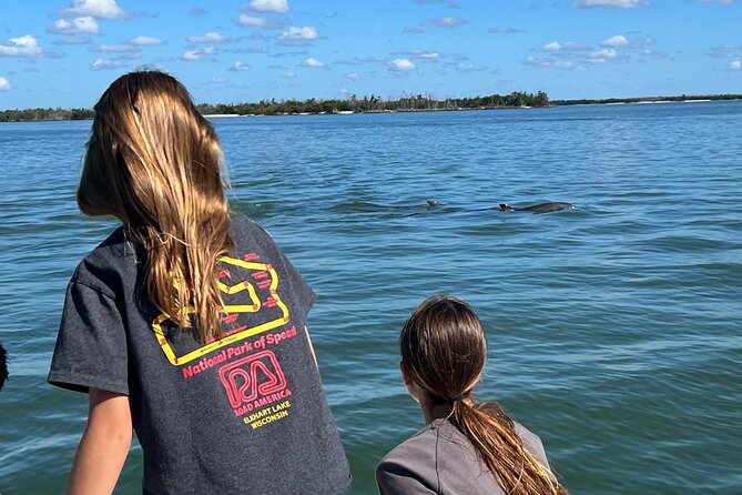 Best of Marco Island Dolphin Tour - How the small-group size changes your experience