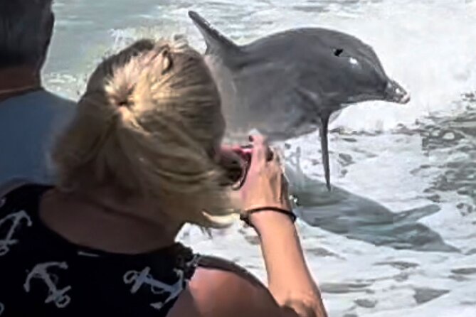 Best of Marco Island Dolphin Tour - Getting to the dock: Goodland is the start (and the return)