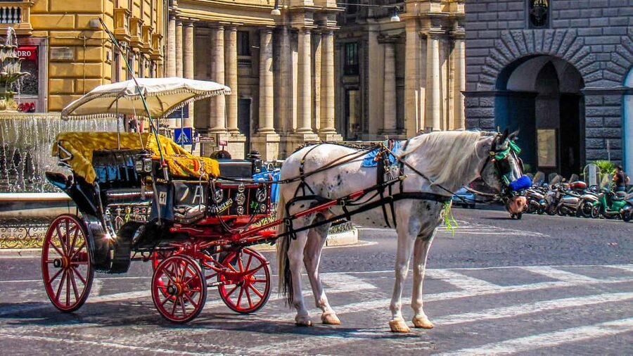 Best of Naples: Private Walking Tour with a Local - Mercato di Porta Nolana: food tips you can use the same day