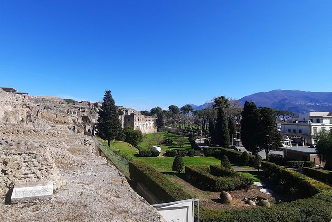 Best of Pompeii - 2 hour Private Tour with Alex - Porta Marina start: the eruption context that makes the city click