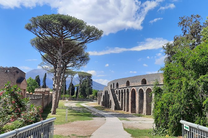 Best of Pompeii - 2 hour Private Tour with Alex - Getting in fast: mobile tickets and skip-the-line value
